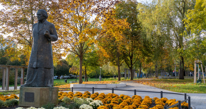 Betonierte Wege auf dem Clara-Zetkin-Park