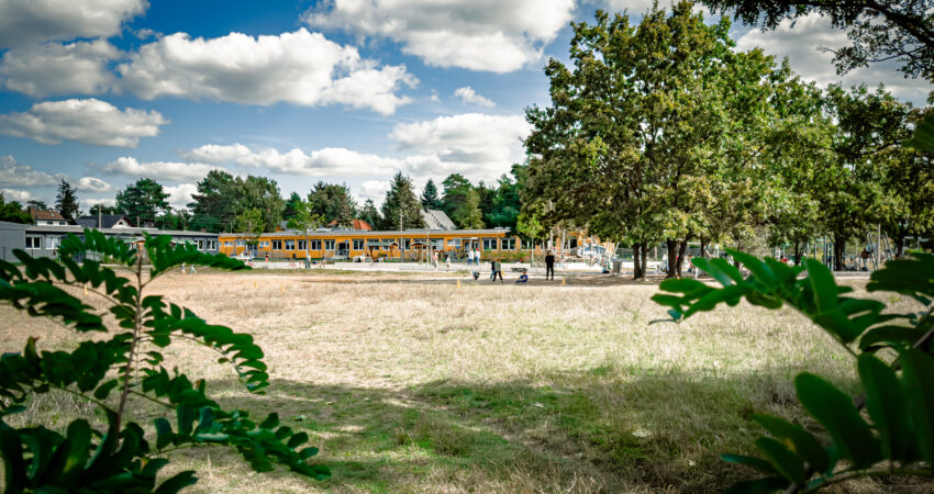 eine große Grünfläche und im Hintergrund ein Spielplatz mit spielenden Kindern.