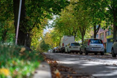 Straße. Am Straßenrand stehen Kastanienbäume. auf der rechten Seite parken Autos.